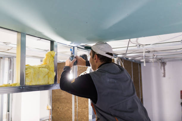 Best Cellulose Insulation in USA